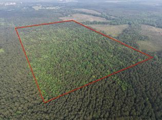 0 County Road 4123, Bivins, TX 75555