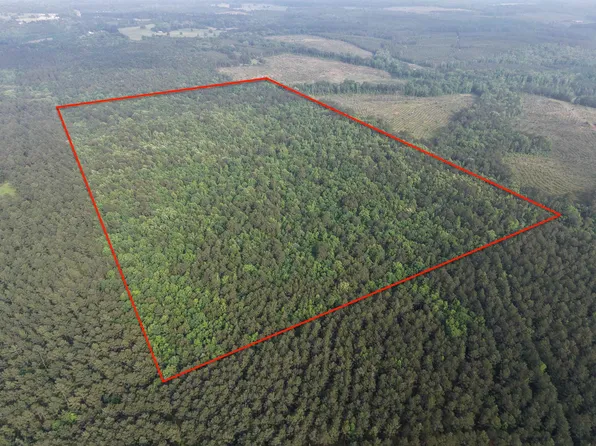 0 County Road 4123, Bivins, TX 75555
