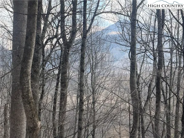 TBD  Lot 18 Carefree Cove Road, Zionville, NC 28698