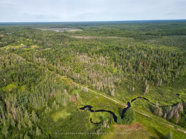 LOT 4 Dutch Line Rd W, Trent Lakes, ON K0M 2A0