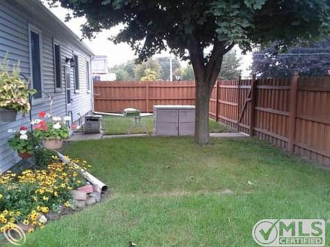 back yard