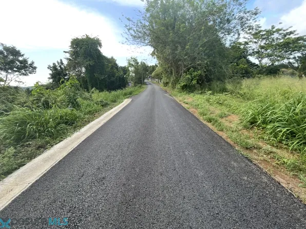 Km 3 Prairie Lote #3-164, Corozal, PR 00783