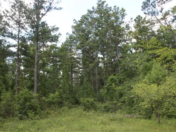 10182 County Road 208, Anderson, TX 77830