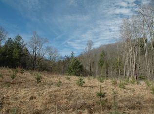 1593 Hannah Branch Rd, Burnsville, NC 28714