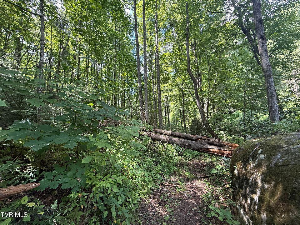 1st image of Dennis Cove Rd