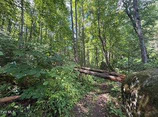 Dennis Cove Rd, Hampton, TN 37658