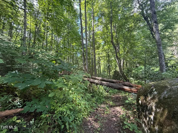Dennis Cove Rd, Hampton, TN 37658