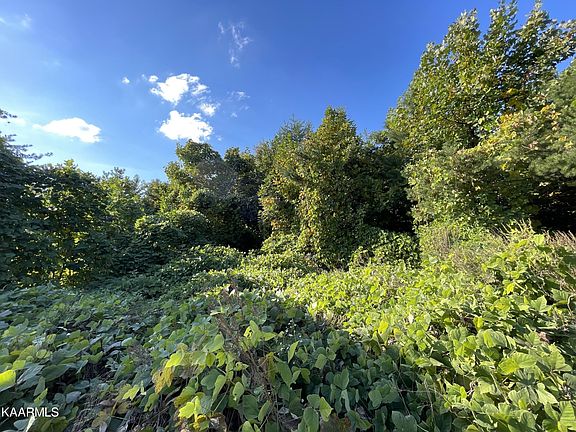 5th image of 0 Faith Mountain Way Lot 18