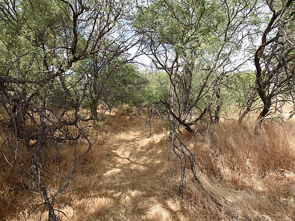 3rd image of 5.96 Acres Cisco Trail