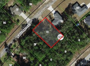 10075 N Wayland Ave, Citrus Springs, FL 34434