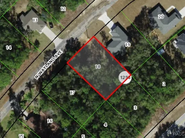 10075 N Wayland Ave, Citrus Springs, FL 34434