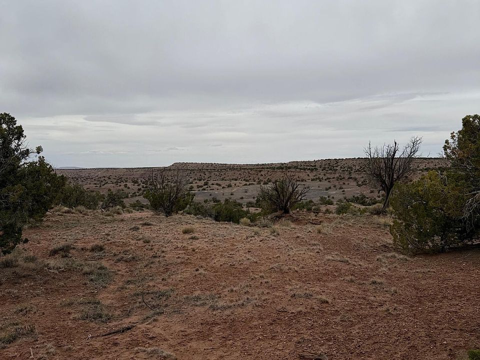 1st image of N6124 N N6124 -- #20245008