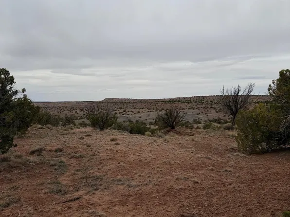N6124 N N6124 -- #20245008, St Johns, AZ 85936