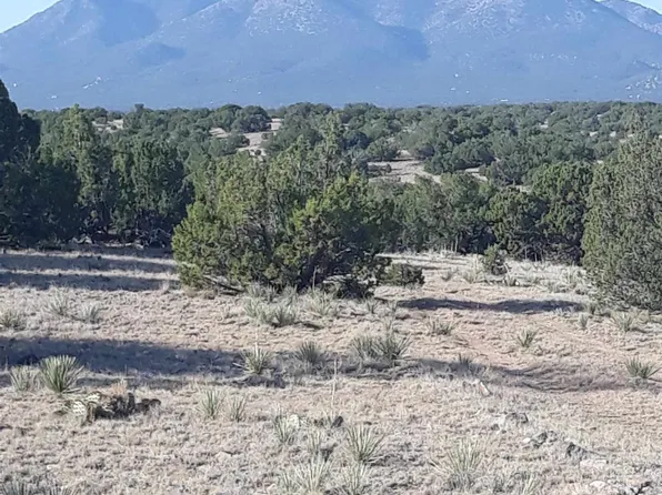 104 Rancho De Shama, Cerrillos, NM 87010