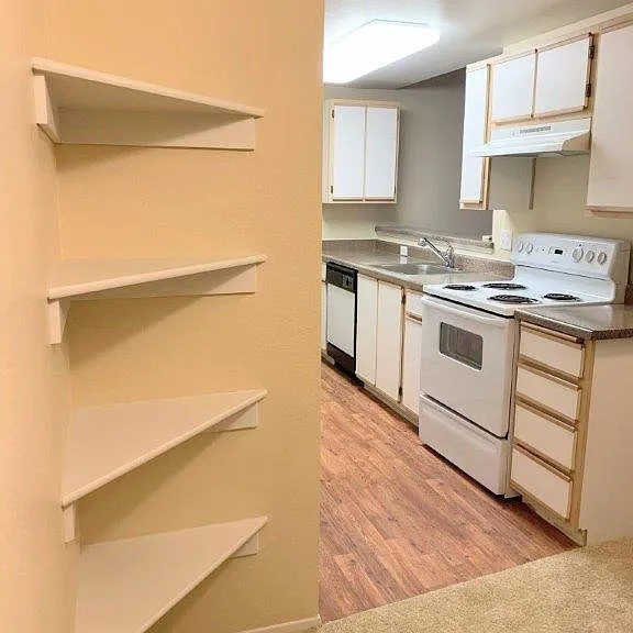 Hampshire Downs — Photo 7