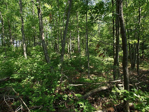 5th image of Lot 21 Jonans Road