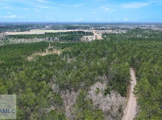 TRACT 1 Wheaton Rd, Odum, GA 31555