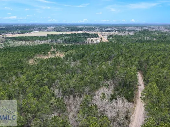 TRACT 1 Wheaton Rd, Odum, GA 31555