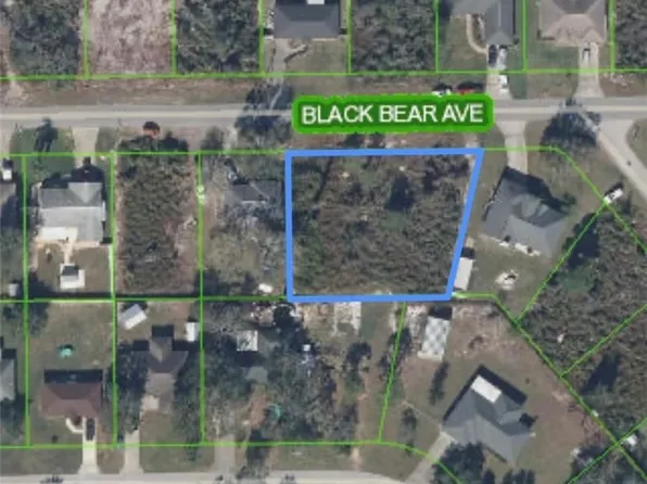 1516 Black Bear Ave, Lake Placid, FL 33852