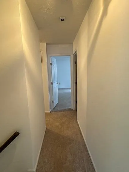 8698 Open Meadow Way — Photo 22
