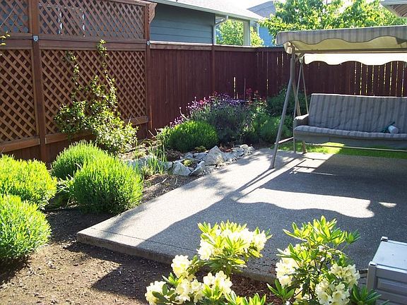 Back yard 17 May 2006