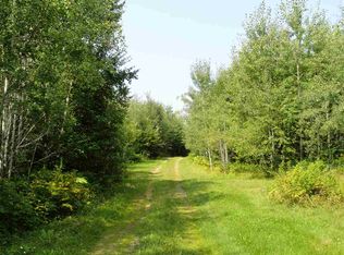 20 Acres Island Lake Rd, Republic, MI 49879