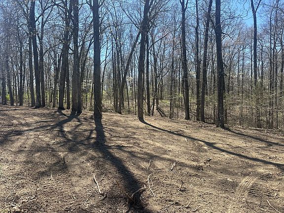 4th image of 0 Arnold Thomas Rd Lot 4B