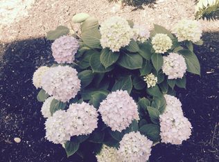 74 Blossom Heath Rd, Williamsville, NY 14221