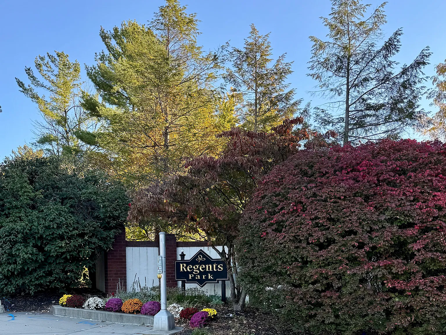 2 bed, 1.5 bath, 1280 sqft, $2,250 — Photo 4