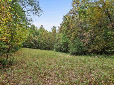 1955 Cavender Gap Rd, Suches, GA, 30572