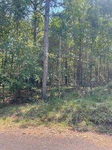 0 Lake Forest Estate Rd, Tumbling Shoals, AR, 72581