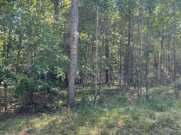 0 Lake Forest Estate Rd, Tumbling Shoals, AR 72581