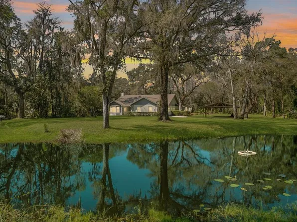 12526 Lem Simmons St, Thonotosassa, FL 33592