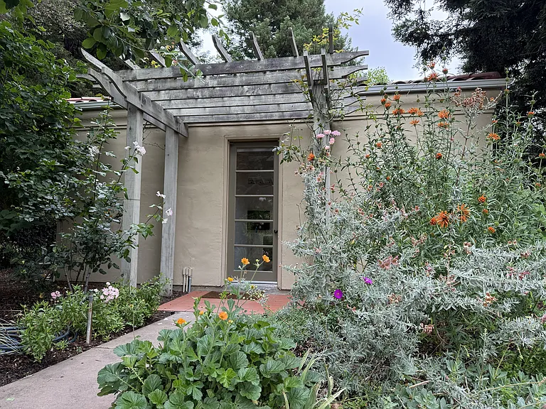 Alejandra Ave — Photo 2