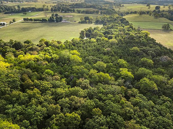 4th image of Rally Hill Rd