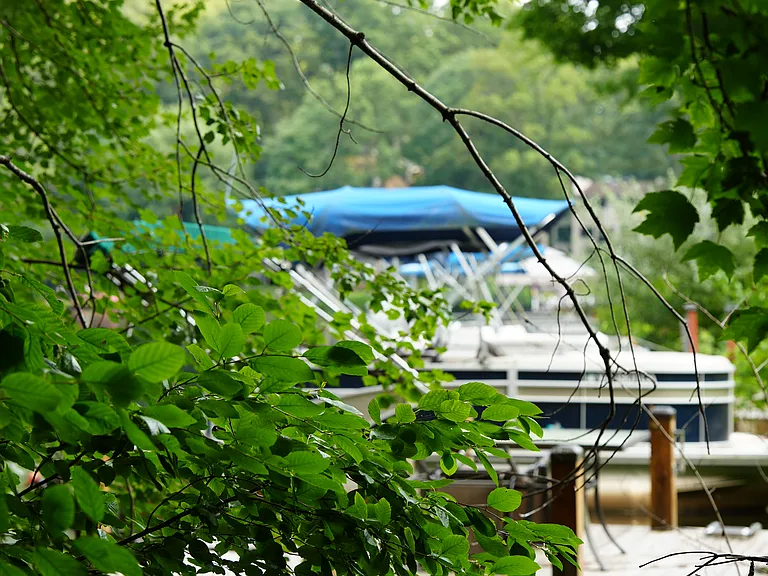 Owls Cove Ln — Photo 18