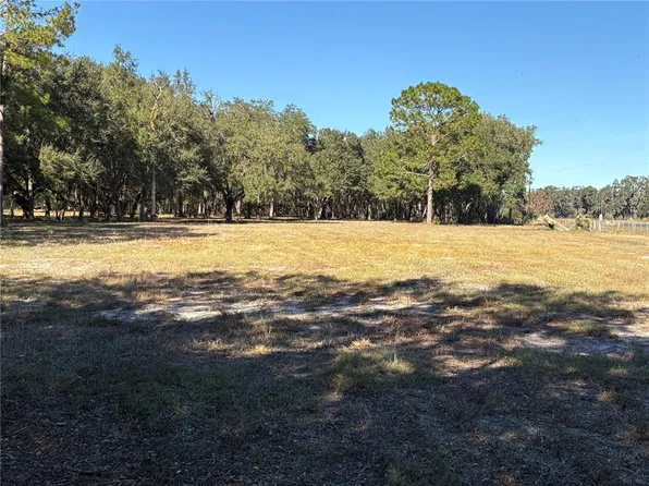 County Road 416n, Lake Panasoffkee, FL 33538