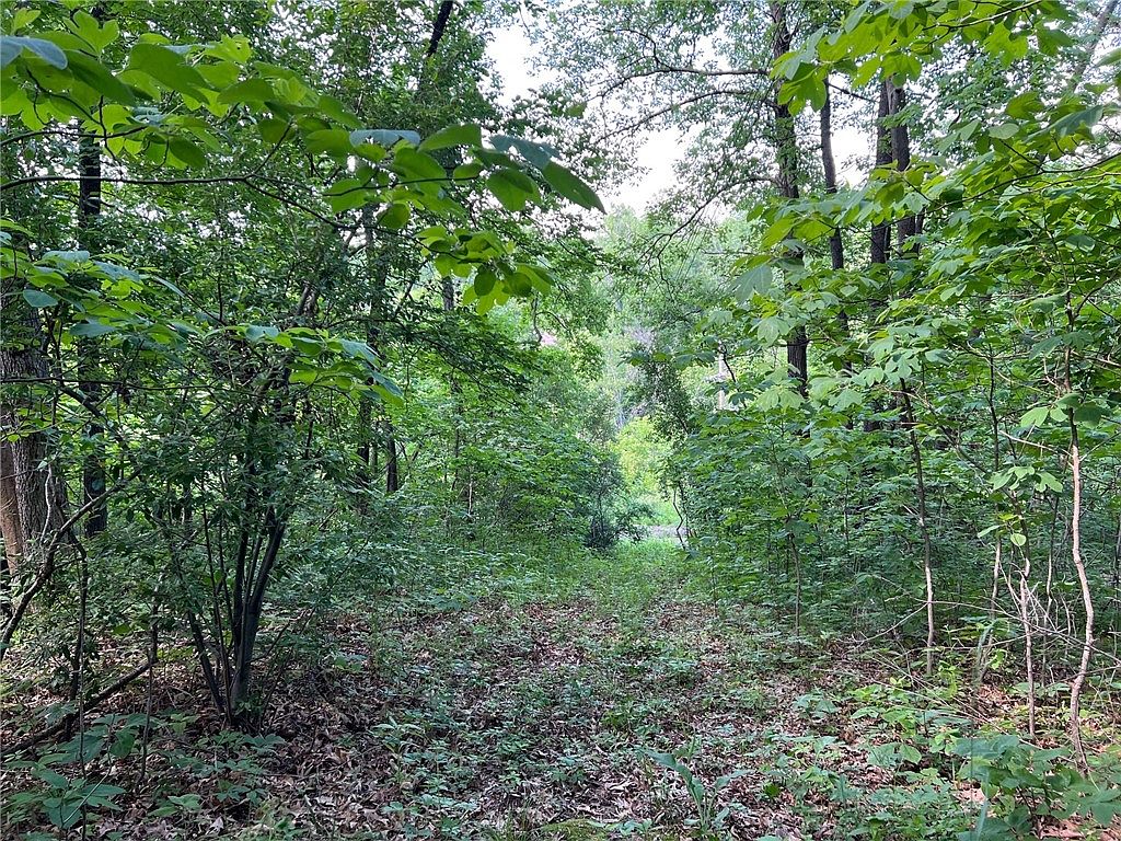 Sec 29 8n 3e, Saint Elmo, IL 62458 Zillow