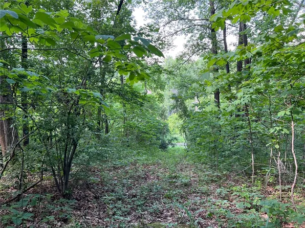 Sec 29 8n 3e, Saint Elmo, IL 62458