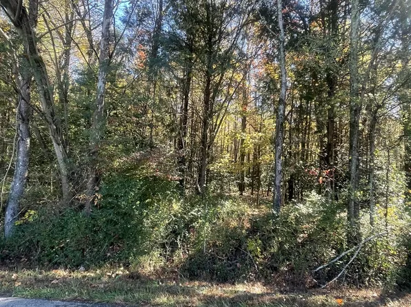 0 Hayes Rd S, Lawrenceburg, TN 38464