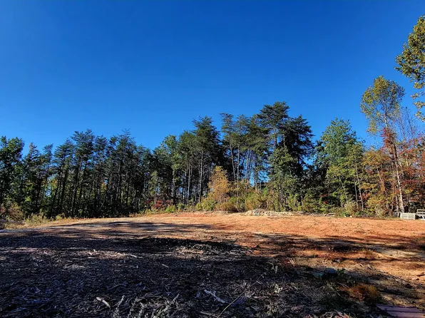3685 Wangdoodle Way, Parrottsville, TN 37843