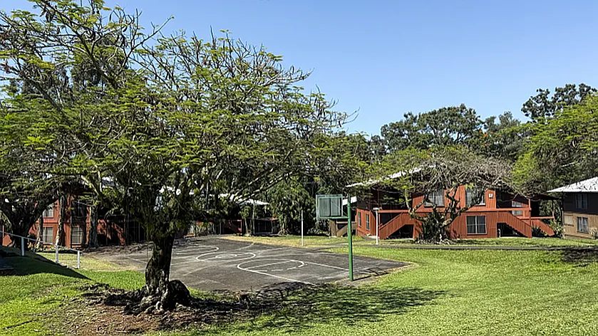 image1-4