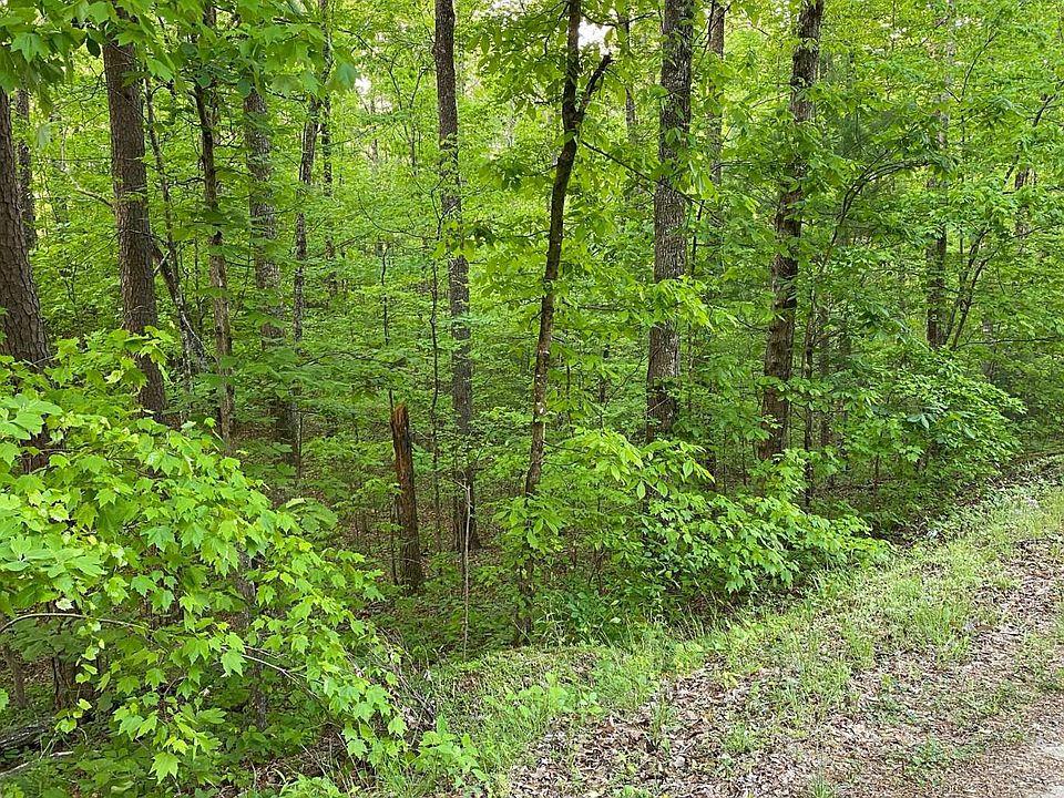 2nd image of Orton Rd
