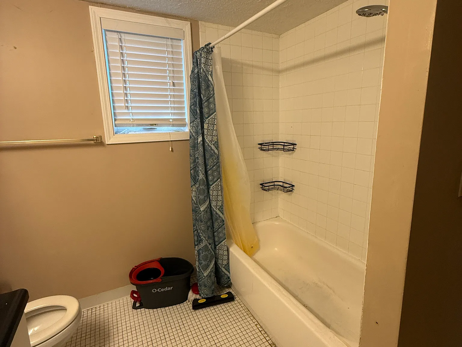 1 bed, 768 sqft, $850 — Photo 4