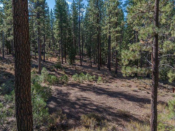 3rd image of 10718C Regency Cir