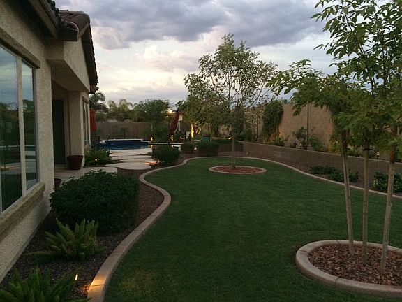 Lush back landscaping