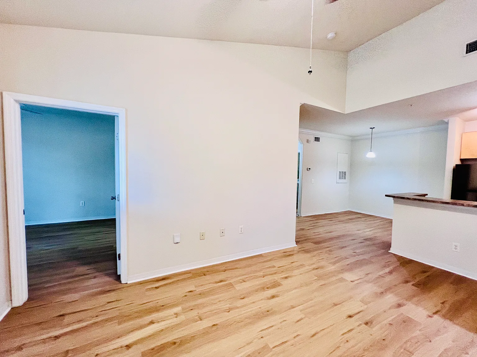 12700 Bartram Park Blvd — Photo 3