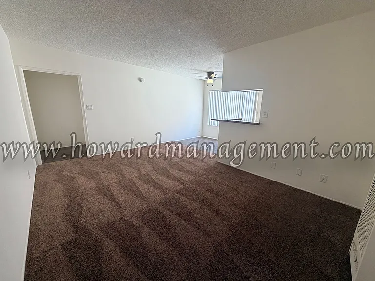 04256LI — Photo 19
