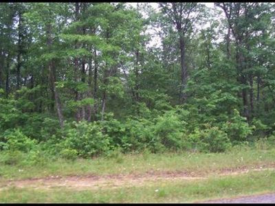 2136 Street Place Loop, Monterey, TN, 38574