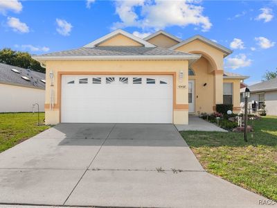 10468 S Drew Bryant Cir, Floral City, FL, 34436
